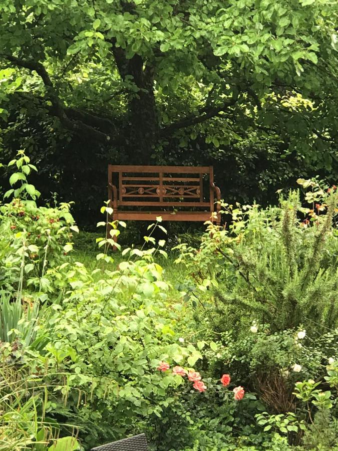 Gartenwohnung Gundelfingen  Εξωτερικό φωτογραφία
