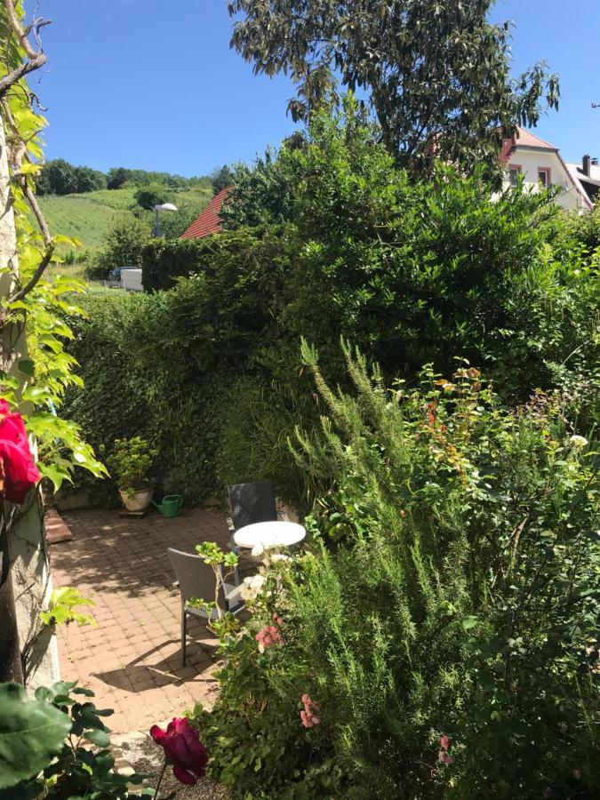Gartenwohnung Gundelfingen  Εξωτερικό φωτογραφία
