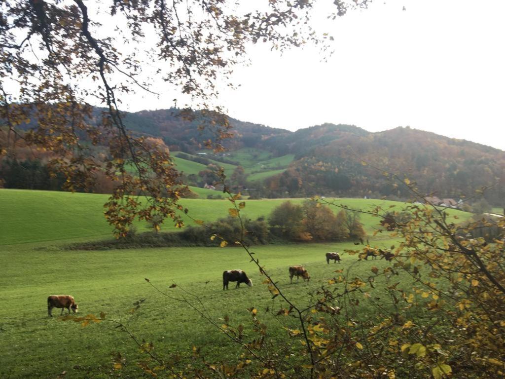 Gartenwohnung Gundelfingen  Εξωτερικό φωτογραφία
