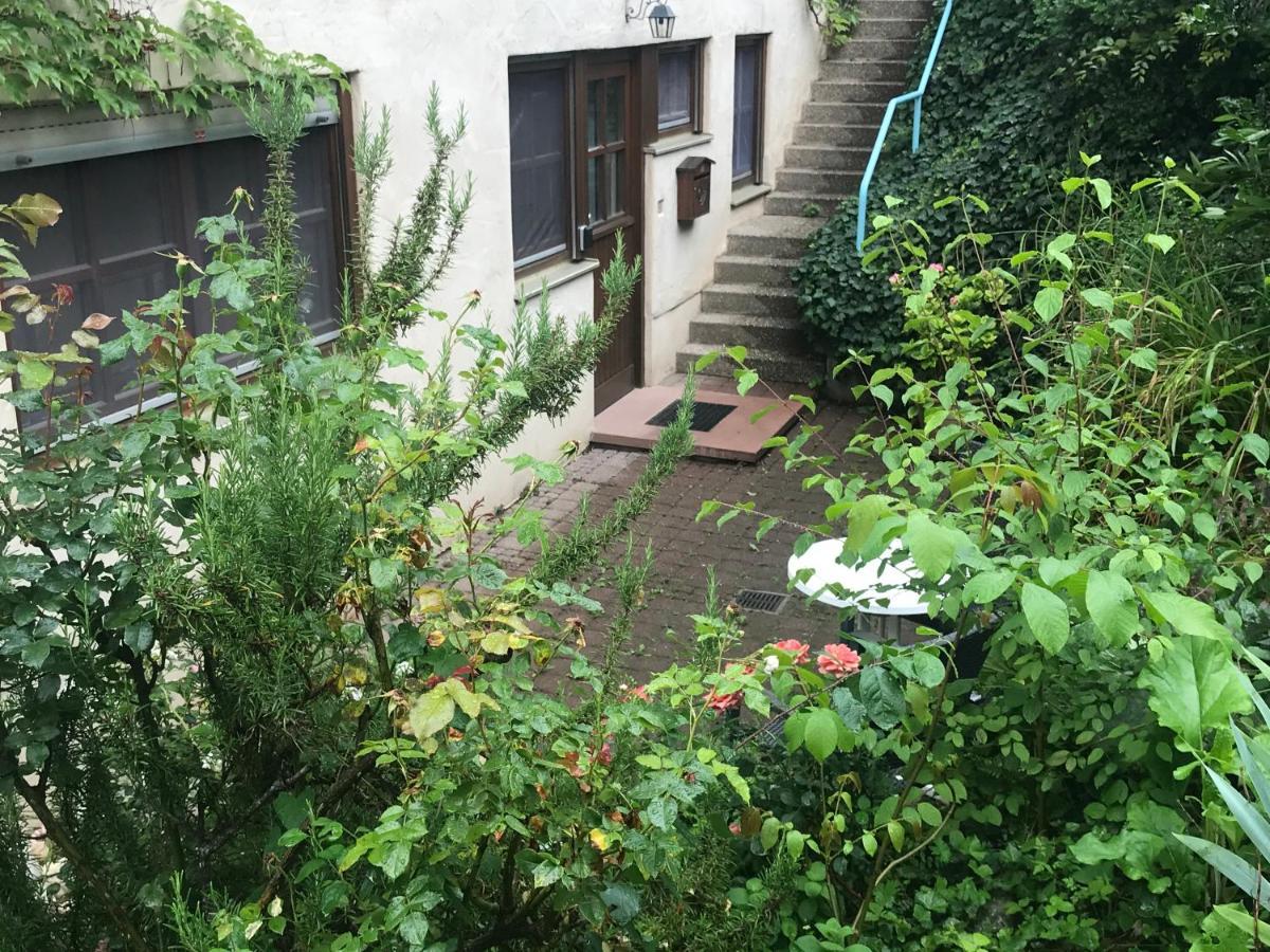 Gartenwohnung Gundelfingen  Εξωτερικό φωτογραφία